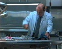 FOTOS (194) � IMAGEN FOTOGRAFIA